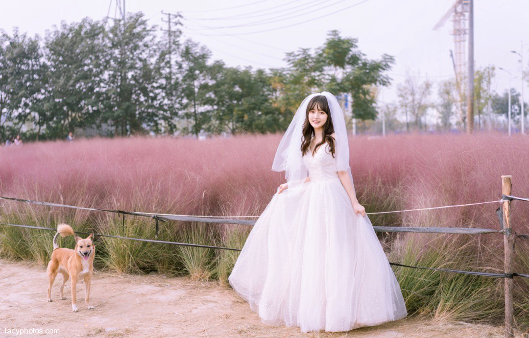 Pink and Dai confused the girl's heart. The portrait of the beautiful girl's wedding dress was simply dreamy - 4